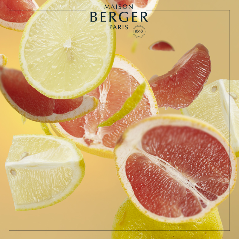 Maison Berger Aroma Energy