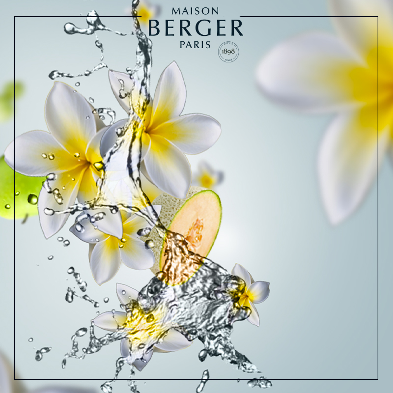 Maison Berger Aroma Happy