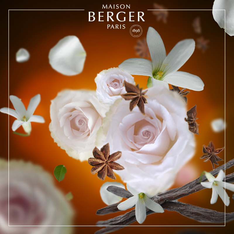 Maison Berger Aroma Relax